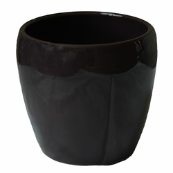 SAKSIJA TARIFA 15CM GLAZURA KUPINA