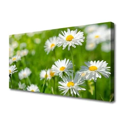 tulup.si Slika na platnu Daisy flower rastlin 140x70 cm