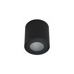 Spoljno plafonsko svetlo FARA 1xGU10/50W/230V IP54 crno