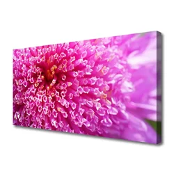 tulup.si Slika na platnu Flower na wall 120x60 cm