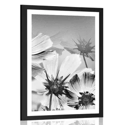 Plakat s paspartujem vrtni cvetovi v črnobeli varianti - 40x60 no frame