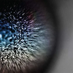 Emptyset - Blossoms (Clear Coloured) (LP)
