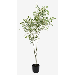 Gunnulf veštačka biljka V150cm sa saksijom ( 4912439 )