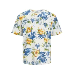 JACK & JONES Muška majica kratkih rukava Jeff, Šarena