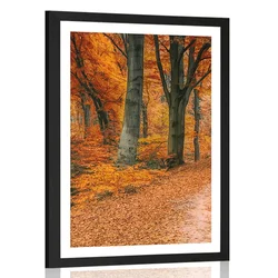 Plakat s paspartujem gozd v jesenskih barvah - 20x30 no frame