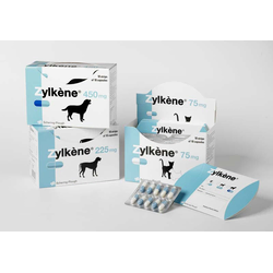 Vetoquinol Zylkene 450mg - antistres kapsule za pse 10 komada