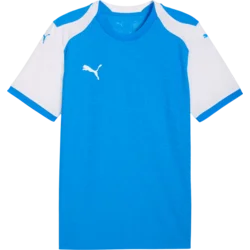 Puma Dres teamFINAL26 Knit