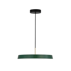 VETRO VISILICA LED/3000K/37W/4275Lm/GREEN & BLACK