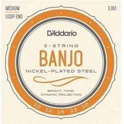 DAddario EJ61