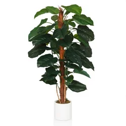 MID.YOU Umetna Rastlina Epipremnum