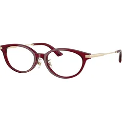 Jimmy Choo Naočare JC 3029D 5062