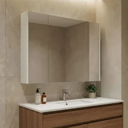 HANAH HOME Ormarić sa ogledalom Arno 100 322