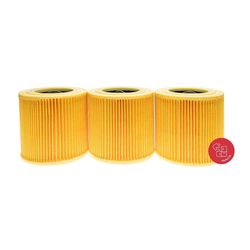VACS Hepa filter KÄRCHER WD 3 S V-17/4/20 - 3 kom