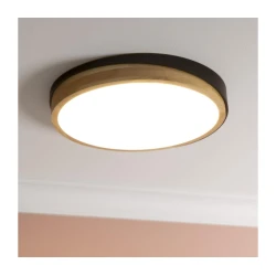 Brilliant - LED plafonska svetiljka (prigušiva) BAARLO LED/24W/230V prečnika 35 cm, crne boje