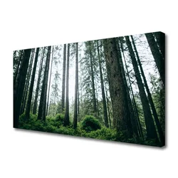 tulup.si Slika na platnu Narava gozdnega drevja 140x70 cm