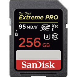 SDXC SANDISK 256GB EXTREME PRO, 95/90MB/s, UHS-I Speed Class 3 (U3), V30 (SDSDXXG-256G-GN4IN) (141937)