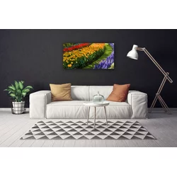 tulup.si Slika na platnu Tulipani rože vrt 100x50 cm