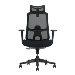 Ergonomska kancelarijska stolica UGD Task Master