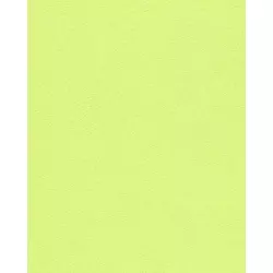 TAPET RASCH - 407754