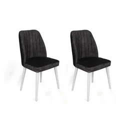 Hanah Home Set stolica Alfa-497 V2, 62x75x51.5 cm, 2 komada, Antracit