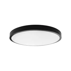 LED stropno svetlo za kupatilo LED/36W/230V 6500K IP44 prečnik 29,5 cm crna