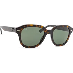 Ray-Ban Erik Naočare za sunce RB 4398 902/31