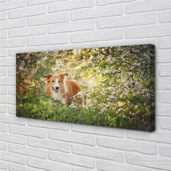 tulup.si Slika na platnu Dog gozdne rože 100x50 cm