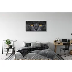 tulup.si Slika na platnu Črna mačka 100x50 cm