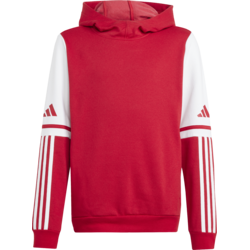 adidas  Squadra 25  pisana
