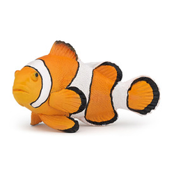 Klovnska riba