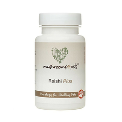 Reishi Plus (400 mg) 60 kom