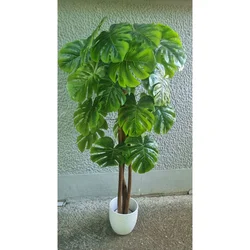 Lilium stablo monstera 155 cm GF141004