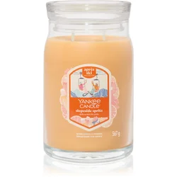 Yankee Candle Signature Large Jar 2 Wicks Slopeside Spritz Universal