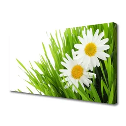 tulup.si Slika na platnu Daisy flower narava 140x70 cm