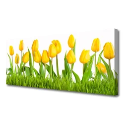 tulup.si Slika na platnu Tulipani na wall 120x60 cm