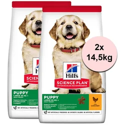 Hills Science Plan Canine Puppy Large Breed Chicken 2x14,5kg