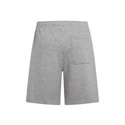 ONEILL Hlače Essentials  pegasto siva