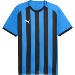 Puma Dres teamLIGA26 Striped