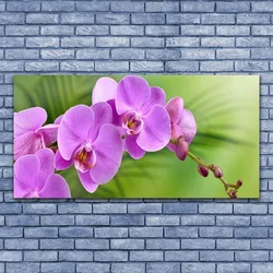 tulup.si Slika na platnu Orhideja orhideje 140x70 cm