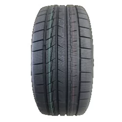 Gopro Ev-Ice ( 255/45 R20 105H XL EV)