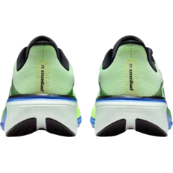 Nike Pegasus 42