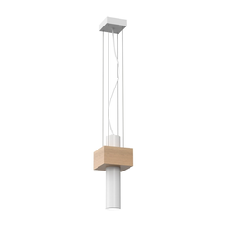 Luster na sajli WEST 1xGU10/25W/230V bela
