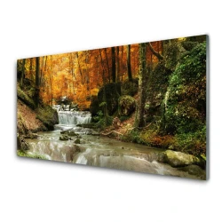 tulup.si Slika na steklu Forest slap narava 100x50 cm 2 obešalnika