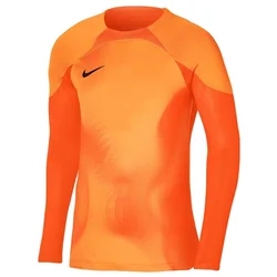 Jersey Nike Gardien IV