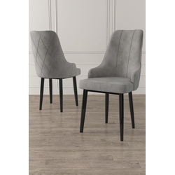 Hanah Home Set stolica Trex, 46x95x42 cm, 2 komada, Sivo-crne