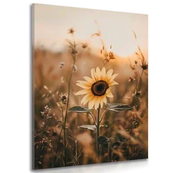 Slika sončnica ob sončnem zahodu - 20x30