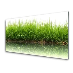 tulup.si Steklena slika Grass nature rastlin 100x50 cm 2 obešalnika