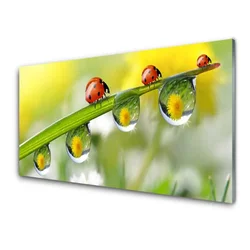 tulup.si Slika na steklu Leaf ladybugs narava 125x50 cm 2 obešalnika