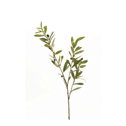 Oljkina veja 82 cm s plodovi