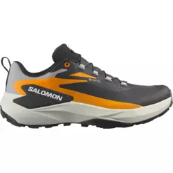 Salomon GENESIS GTX, muške patike za trail trčanje, siva L47976200